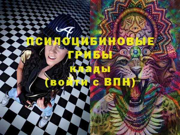 спиды Армянск